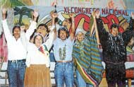 XI Congreso Nacional, Beni, 1996